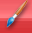 brush